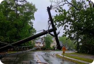 Downed power line and tree blocking a road after a storm, representing disaster response and restoration.